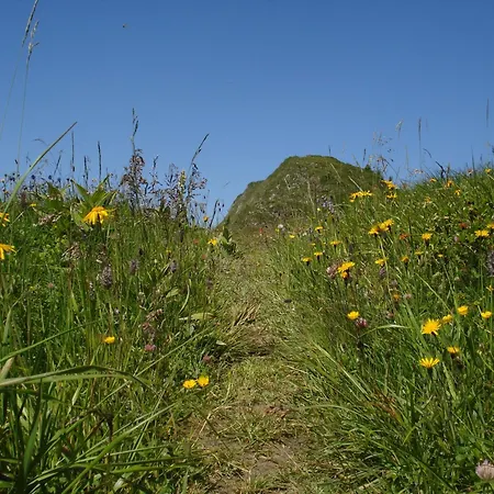 Guest house Gletschermuehle Bad Gastein