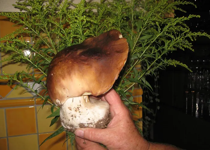 Konukevi Gletschermuehle 3*